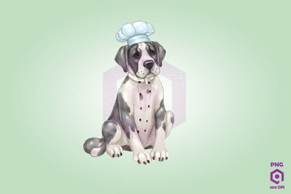 Great Dane Wearing Chef Suit