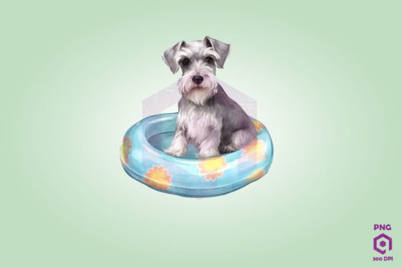 Miniature Schnauzer Wearing Swim Float