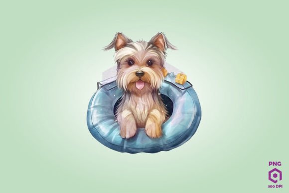 Yorkshire Terrier Wearing Swim Float
